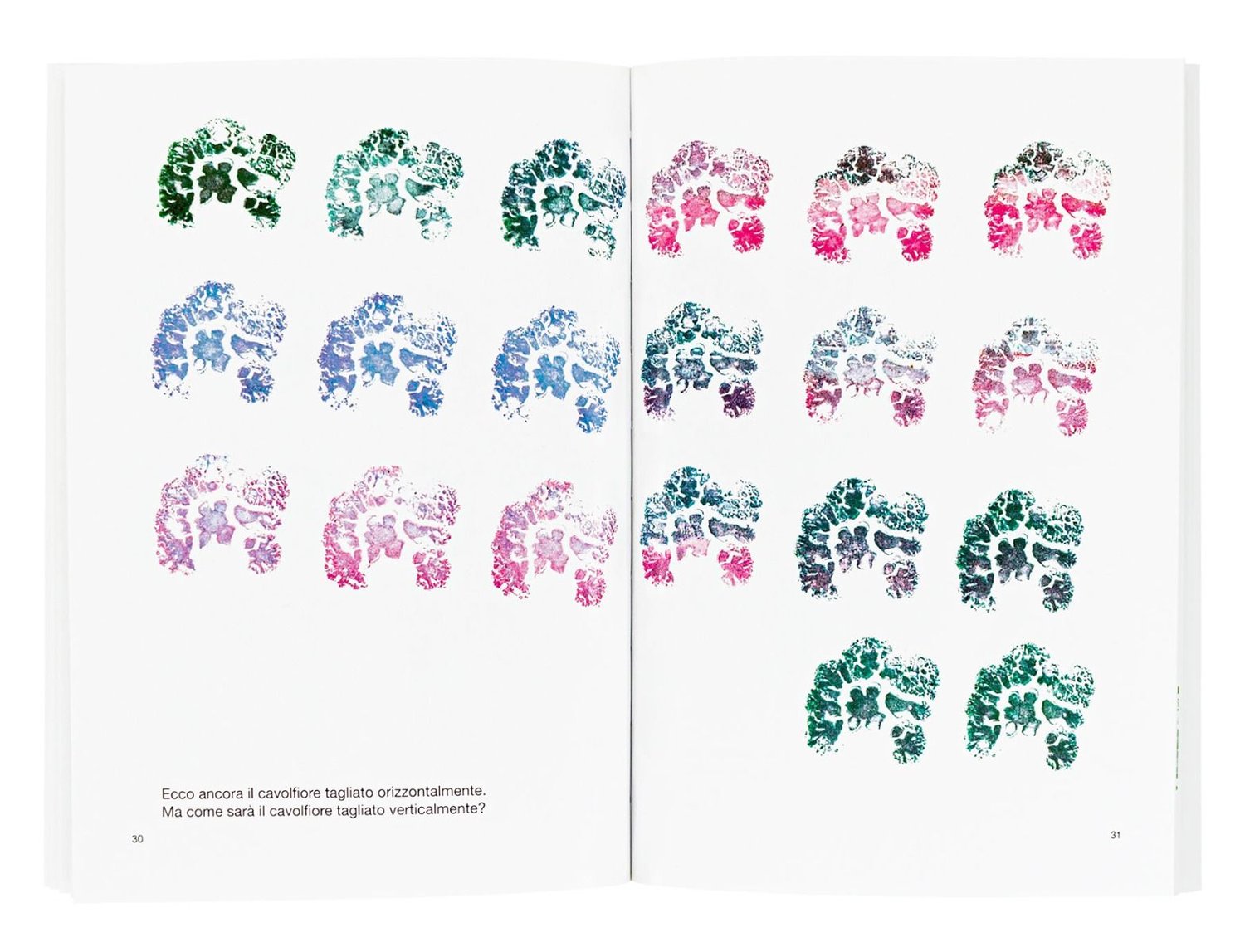 Image of Rose nell'insalata. Bruno Munari 