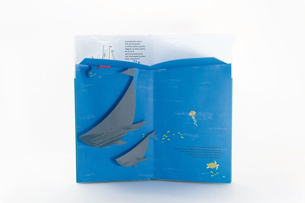 Image of Oceano. Anouck Boisrobert, Louis Rigaud 