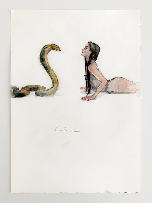 Image of cobra sketch