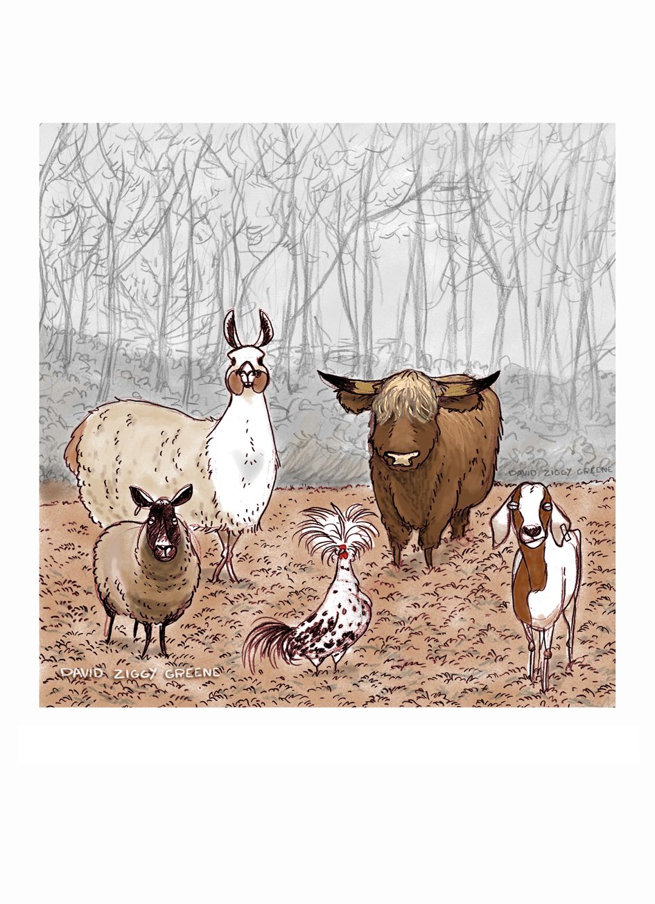 Animal Gang print