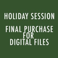 Holiday session Digital files final payment 