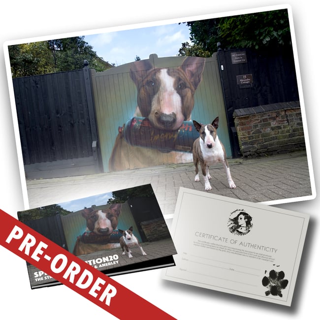 BOOK + "Molly" Print