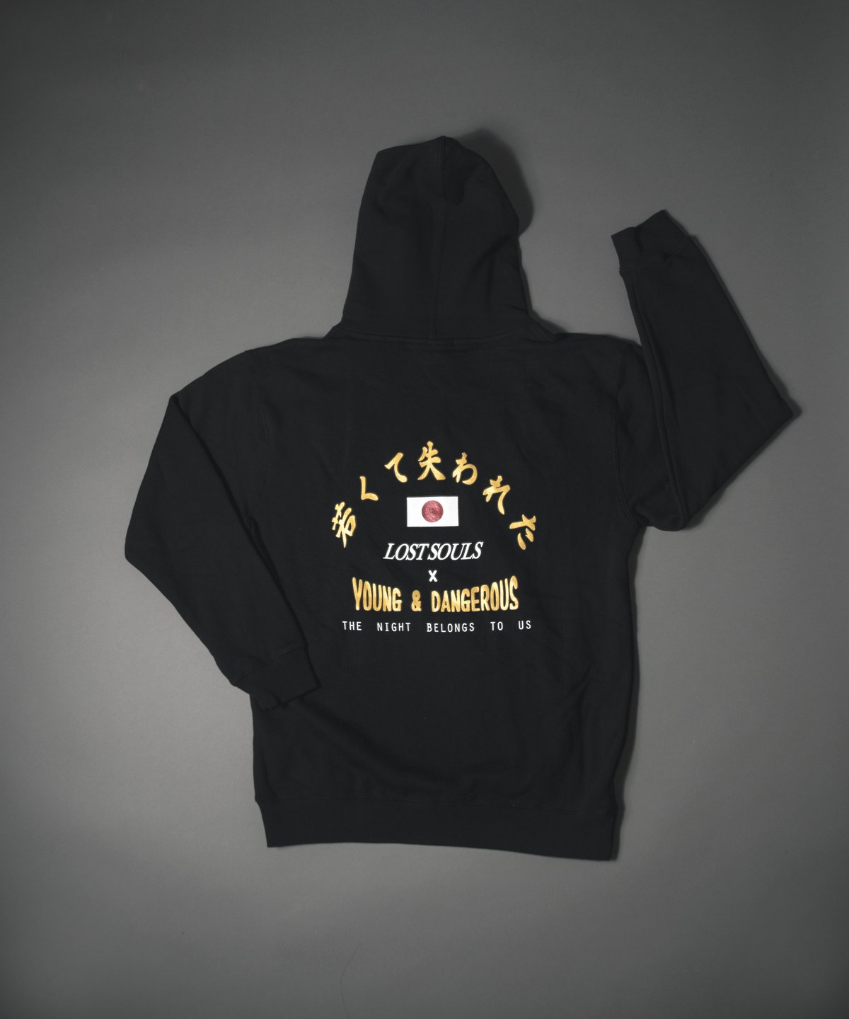 Image of Young and Dangerous x Lost Souls Collab Hoodie