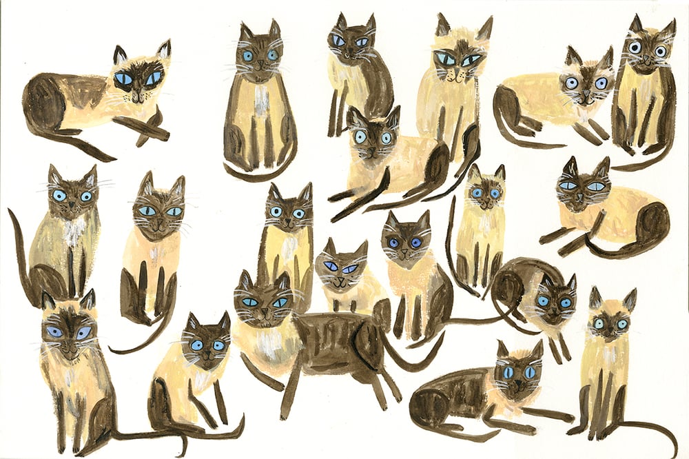 Image of Twenty Siamese cats, all but one named Sam. Limited edition print.
