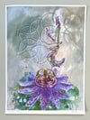 Frequency Shift ~ Limited Edition Print 