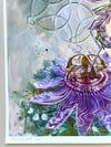 Frequency Shift ~ Limited Edition Print 