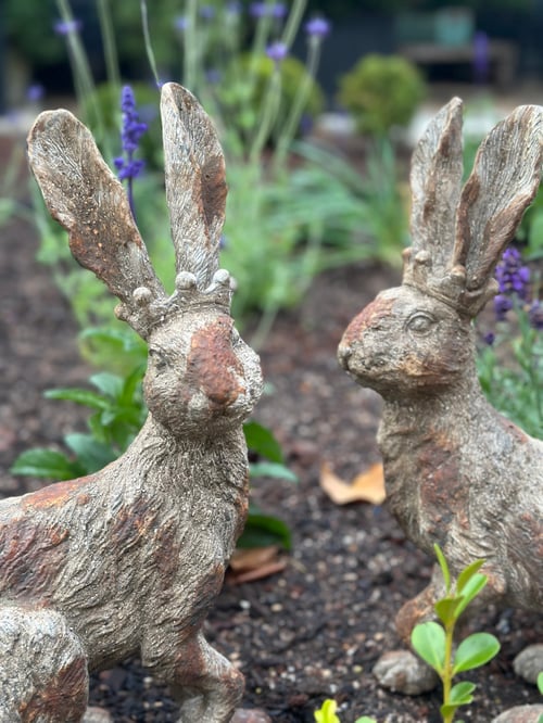 Image of Rustic Hare set of 2 
