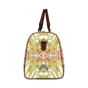 Image of Clematis Chartreuse Weekender