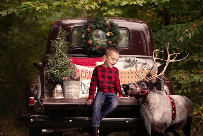 Image of Image Submissions for 2021 Holiday Storybooks