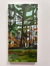 Image 1 of Terrain no. 5