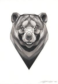 Image 3 of Bear