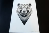 Image 2 of Bear