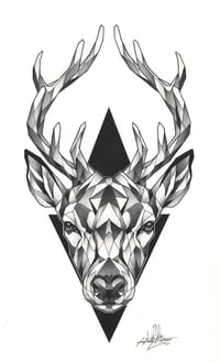 Image 4 of Deer