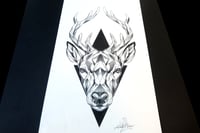 Image 2 of Deer