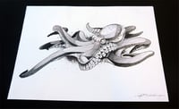 Image 3 of Octopus