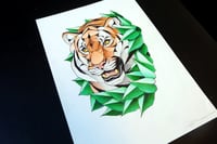 Image 4 of Tiger