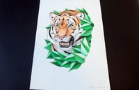 Image 3 of Tiger