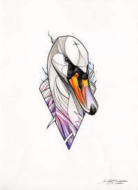 Image 1 of Swan