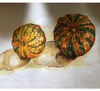 Pair of Gourds
