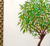 Myrtle Bonsai Tree