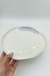 Large Ceramic Plate