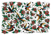 Swallows Print