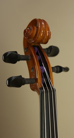 Image of 3/4 Viola