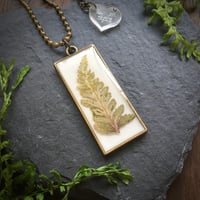 Image 2 of Real Fern Leaf Resin Pendant with Bronze Frame