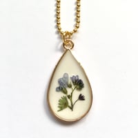 Image 2 of Real Forget-me-Not flower Resin Pendent with Gold Frame