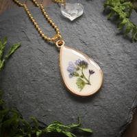 Image 1 of Real Forget-me-Not flower Resin Pendent with Gold Frame