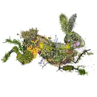 Image 1 of Púca - LARGE Print *Deckle Edges