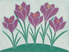 Crocuses