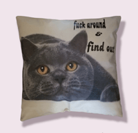 Grey cat f*ck around & find out throw pillow