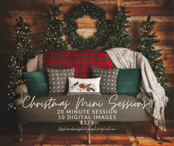 Image of CHRISTMAS MINIS! (RETAINER FEE IS $75 TO BOOK, TOTAL SESSION FEE IS $175)