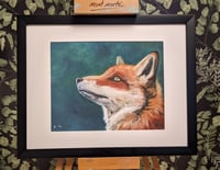 Image 2 of Fox