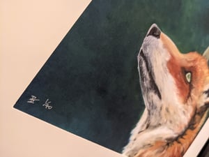 Fox