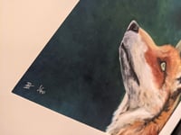 Image 3 of Fox
