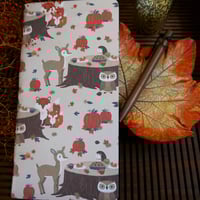 Image 1 of Fawns & Foxes