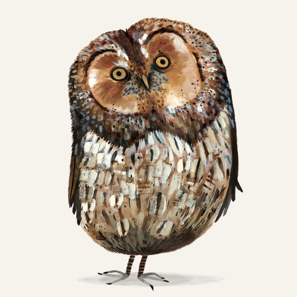 Image of Tawny Owl Card