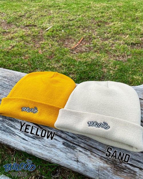 Image of BullGod Classic Beanie (6 Different Colors)