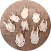 Mini Roe Deer Skullcap - Lucky Dip