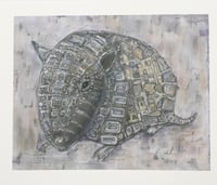 Little Armadillo