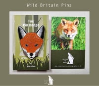 Fox - #4 - Wild Britain Series