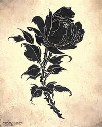 "Rose Silhouette #1"  PRINT