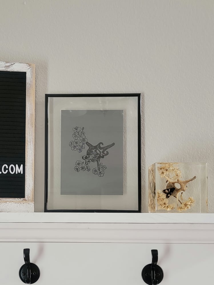Image of Blossoming Bone Moth, bone and Blossom Art Print