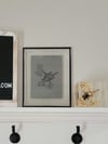 Blossoming Bone Moth, bone and Blossom Art Print