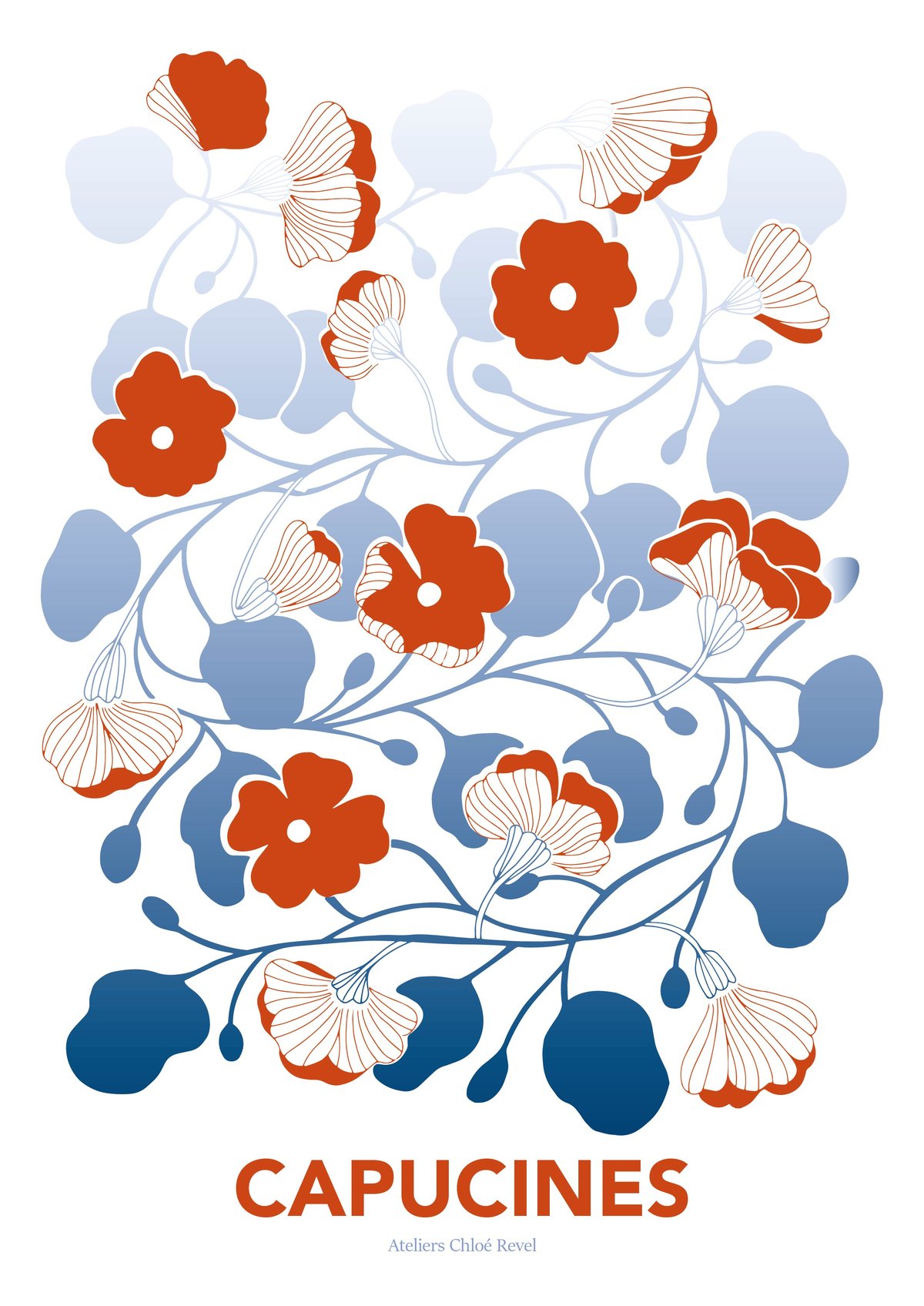 Affiche capucines bleues