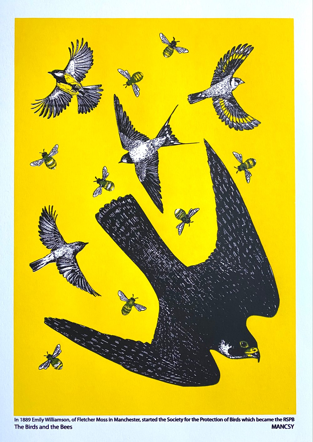 Image of A3 yellow The Birds and the Bees screen print