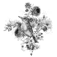 Image 1 of Bird Call - LARGE Print *Deckle Edges