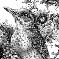 Image 3 of Bird Call - LARGE Print *Deckle Edges